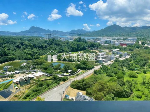 嵐山  