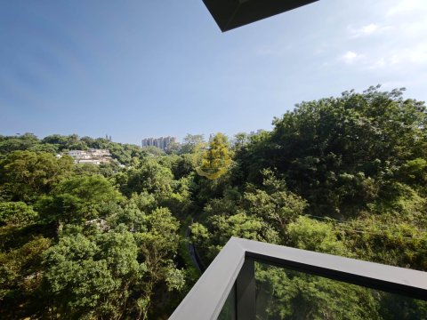 緹岸 緹岸