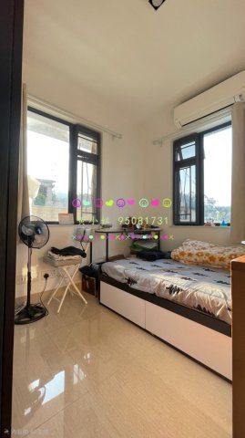 荔枝山    95081731