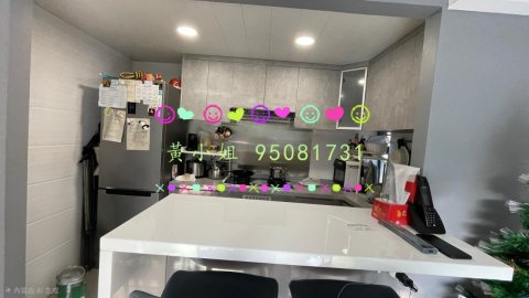 荔枝山   95081731