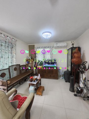 桐梓圍下村  95081731