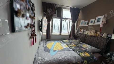 llam.com.hk