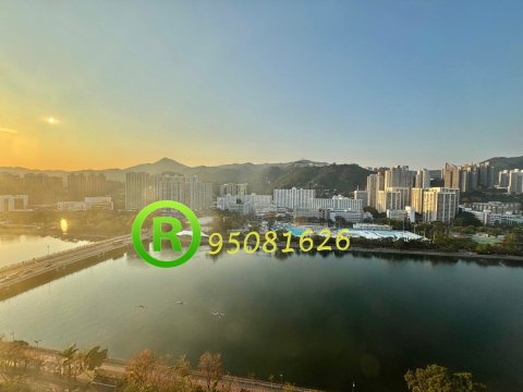 河畔花園 @ EMILY 95080096