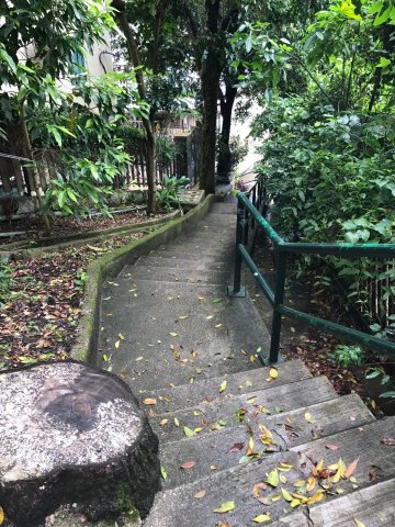 落路下 @ EMILY 95080096