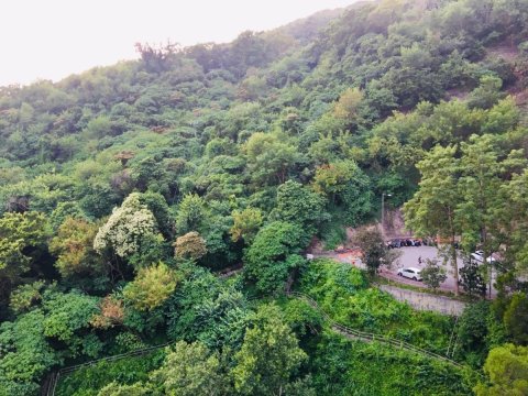 荃威花園 靚景開揚 荃威花園 靚景開揚