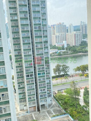 花園城 @ EMILY 95080096