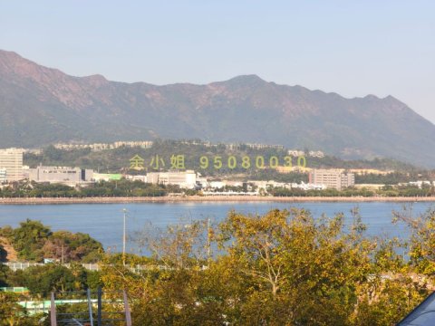 黃宜坳 雍宜山莊 95080030