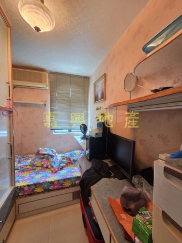 蘆慈田 95080030