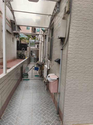 洞梓 95080030