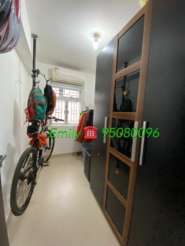 作壆坑 @ EMILY 95080096