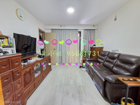 洞梓   95081731
