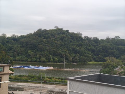 TAI MEI TUK TSUEN