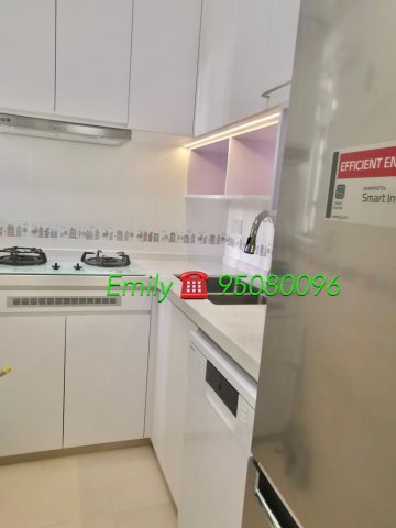 翠麗花園 @ EMILY 95080096