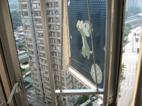 全輝中心 @ EMILY 95080096