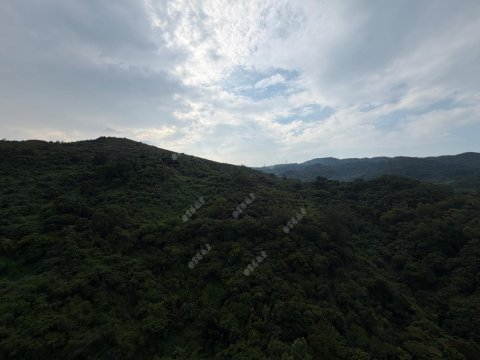 荃威花園 新裝即住 荃威花園 新裝即住
