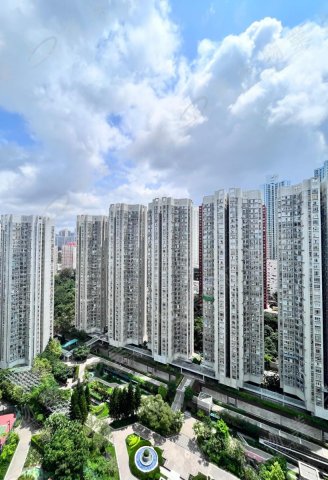 llam.com.hk