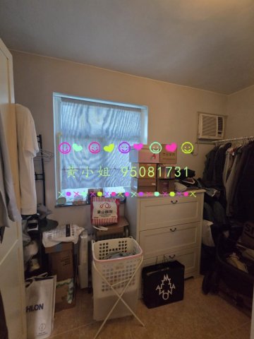 寨畿村  95081731