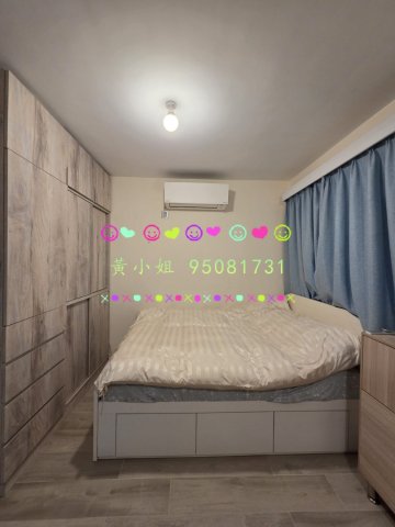 洞梓   95081731
