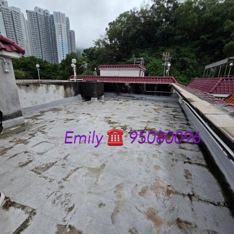 作壆坑 @ EMILY 95080096