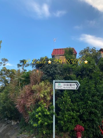 沙田圍舊村 @ EMILY 95080096