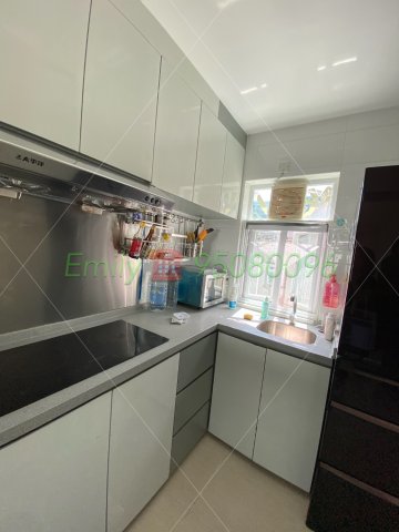 樟樹灘 @ EMILY 95080096