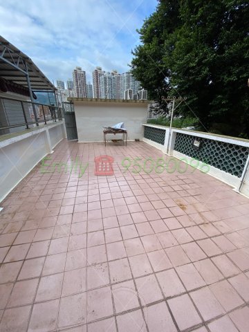 沙田圍舊村 @ EMILY 95080096