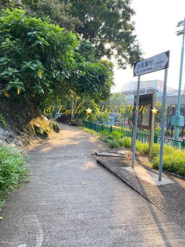 沙田圍舊村 @ EMILY 95080096