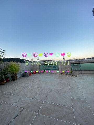 新屋家村  95081731