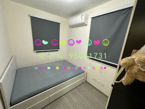 新屋仔村  95081731