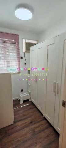 大尾督村   95081731