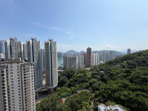 荃威花園 車南海景
