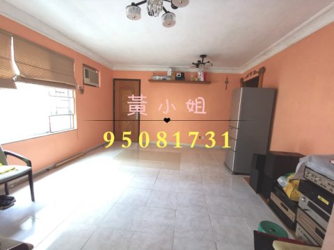 桐梓圍下村  95081731