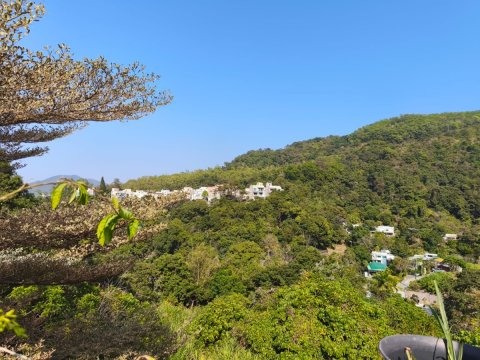 山頂花園 95080030