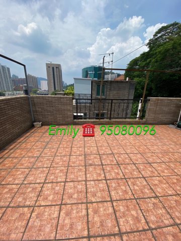 上禾輋村 @ EMILY 95080096