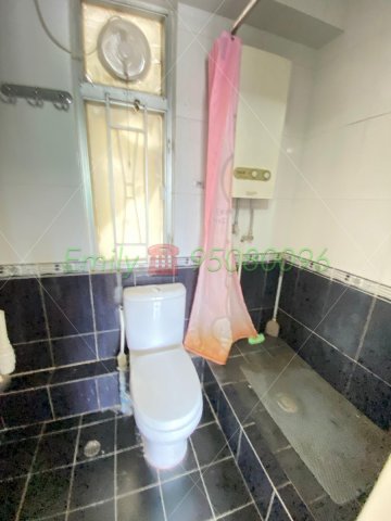 春暉花園 @ EMILY 95080096