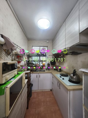 桐梓圍下村  95081731