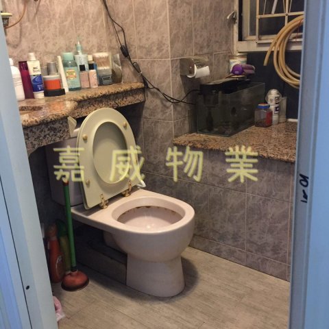 花園城 @ EMILY 95080096