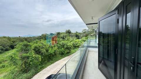 南山村