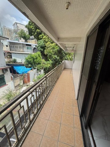 沙田頭