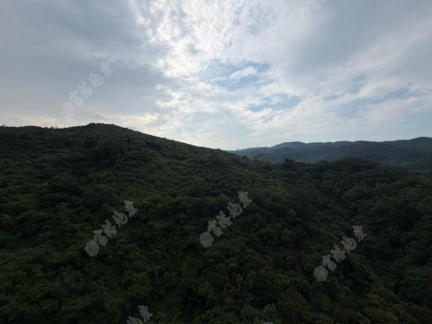 荃威花園 荃威花園