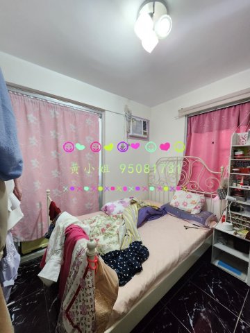 蘆慈田   95081731