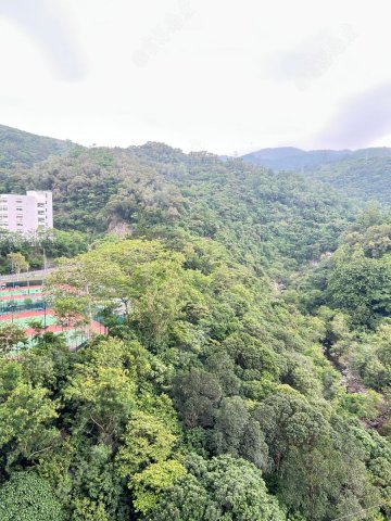 荃灣中心