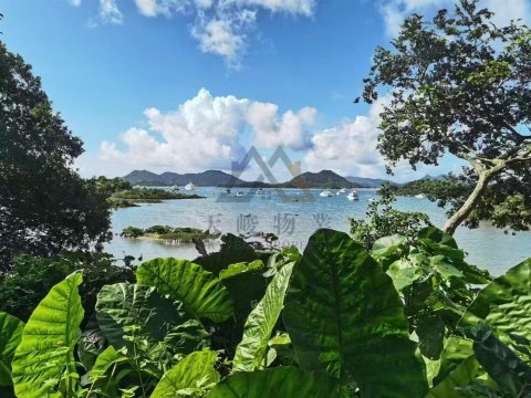 威都別墅 大網仔