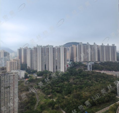 llam.com.hk