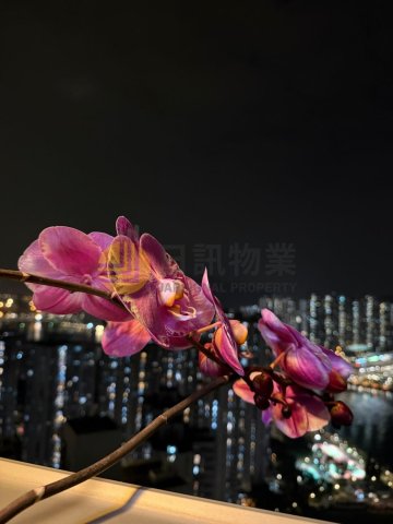 環宇海灣 第05座