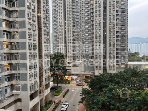 內園套則🌳