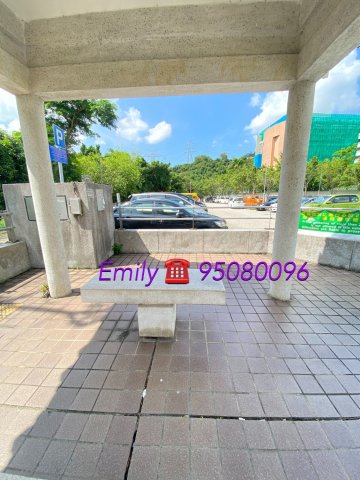 大圍新村 @ EMILY 95080096