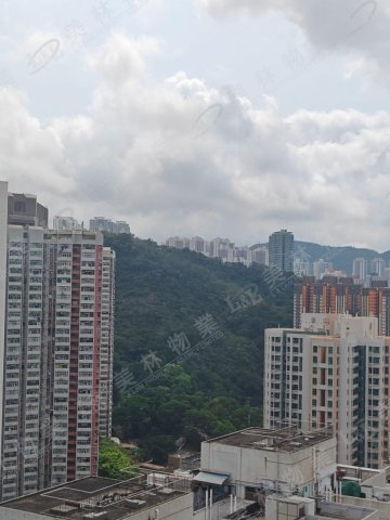 llam.com.hk