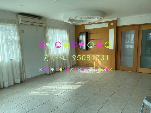 龍尾村  95081731