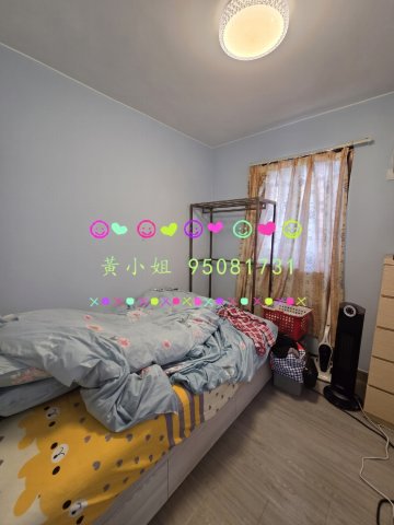 坑下莆 95081731